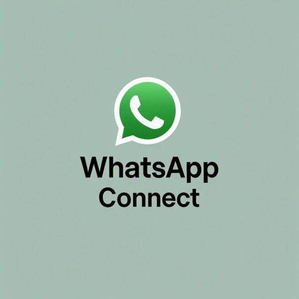 WhatsApp Marketing SaaS
